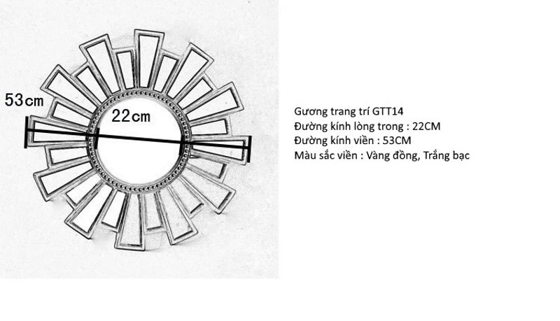 Gương trang trí GTT14