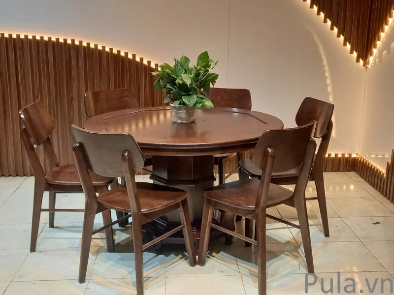Ghế ăn Pula GA06-E