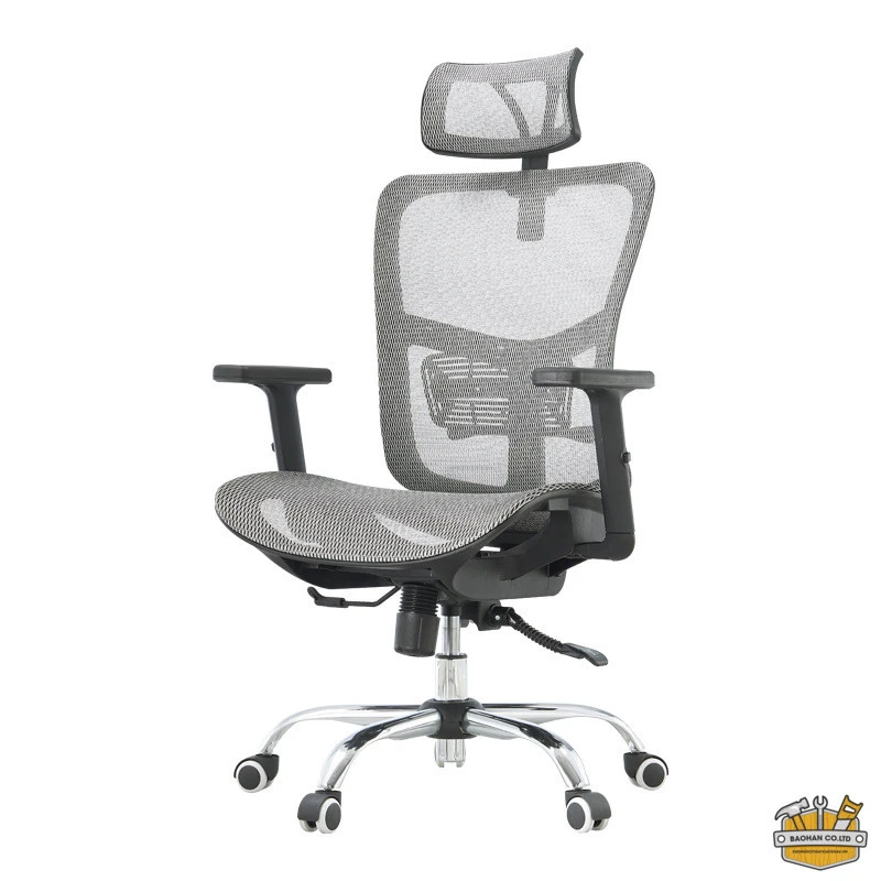 Ghế công thái học Dious