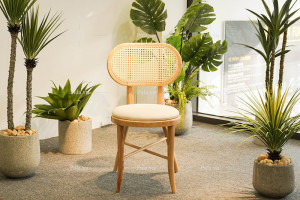 Ghế mây Thonet 2 tại showroom