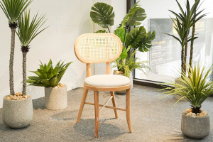 Ghế mây Thonet 2 tại showroom