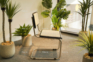 Ghế mây Thonet chân quỳ Pula