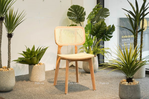 Ghế mây Thonet 4