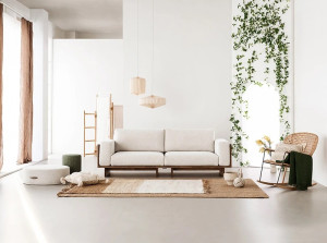 Sofa viền gỗ V62