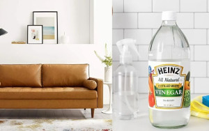 Sử dụng giấm ăn là cách đơn giản làm sạch sofa da