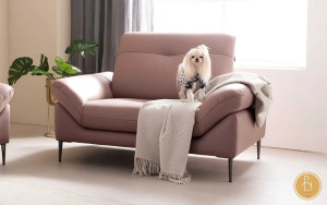 Một chiếc sofa đơn giúp không gian nội thất của bạn sang trọng hơn